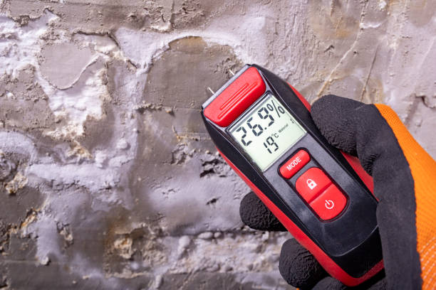 Best Professional Mold Removal  in East Dublin, GA