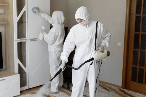 Best Mold Damage Repair  in East Dublin, GA