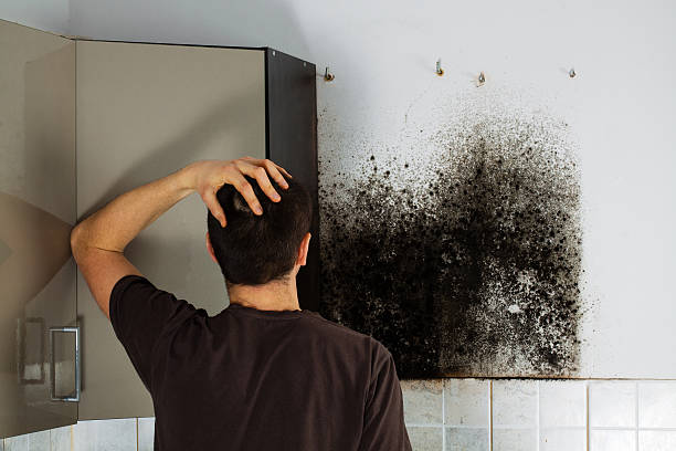 Best Crawl Space Mold Removal  in East Dublin, GA
