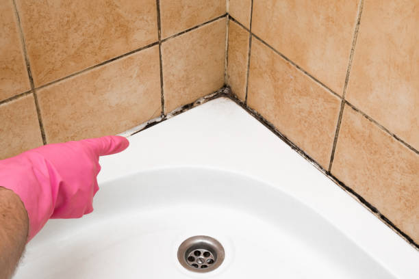 Best Residential Mold Removal  in East Dublin, GA